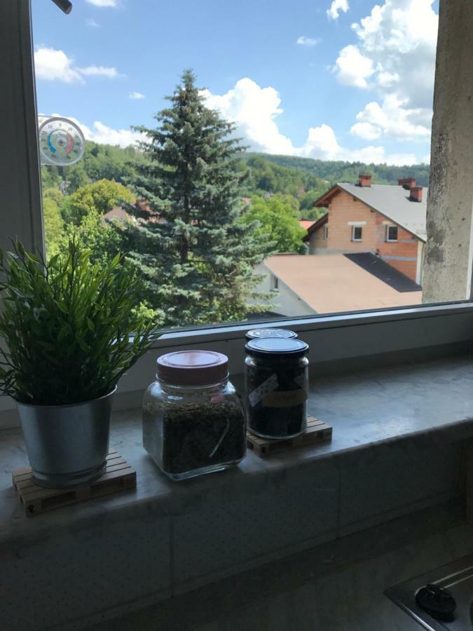 Apartament Przy Rynku Wisla Luaran gambar